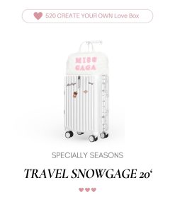 photo-41 TRAVEL SNOWGAGE 20′