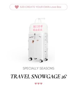 photo-42 TRAVEL SNOWGAGE 26′