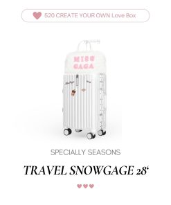photo-43 TRAVEL SNOWGAGE 28‘