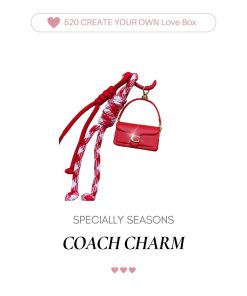 photo -6 COACH CHARM